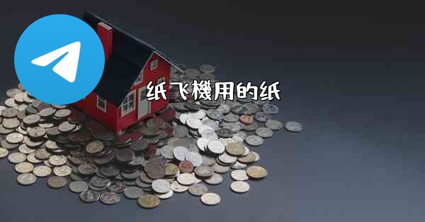 <b>纸飞機用的纸</b>