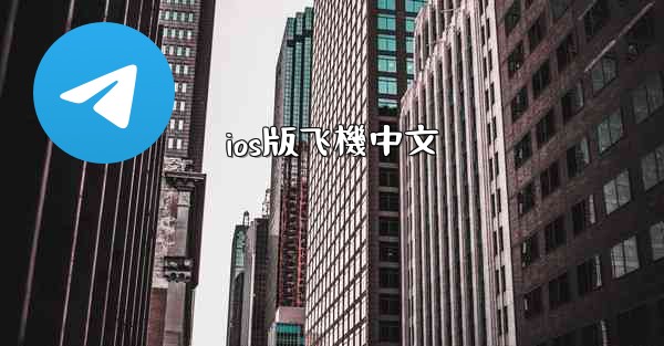 ios版飞機中文