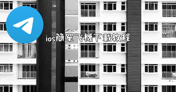 ios簡單飞機下載教程