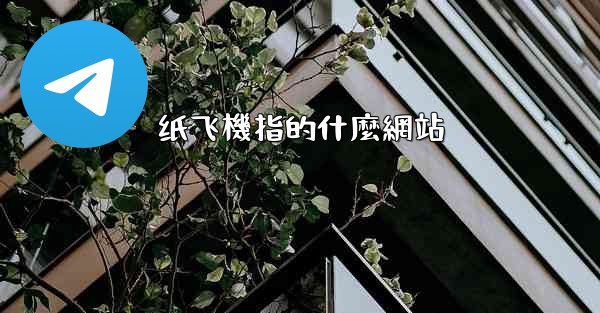 纸飞機指的什麼網站