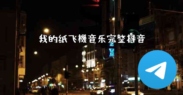 我的纸飞機音乐完整抖音