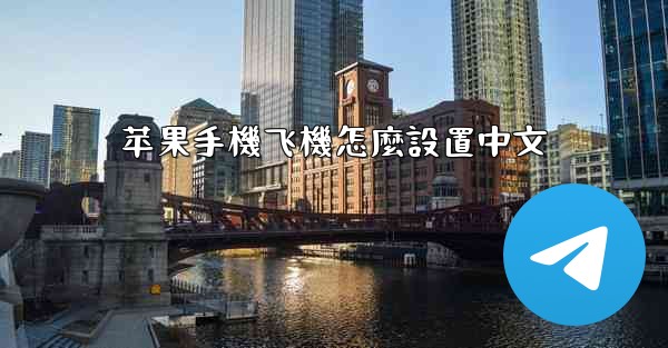 苹果手機飞機怎麼設置中文