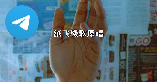 纸飞機歌原唱