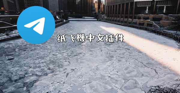 纸飞機中文插件