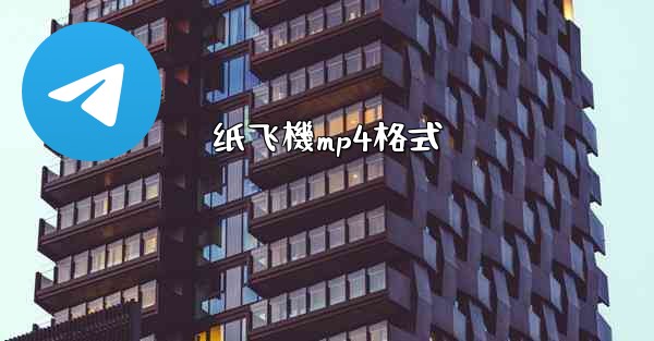 纸飞機mp4格式