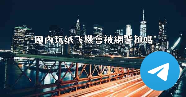 國內玩纸飞機會被網警抓嗎