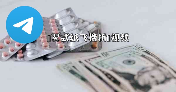 鸭翼式纸飞機折叠视频