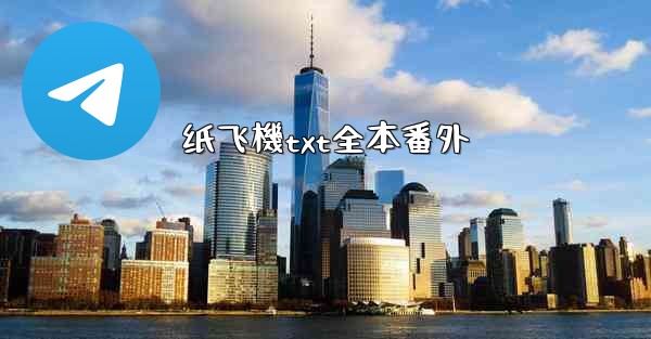 纸飞機txt全本番外