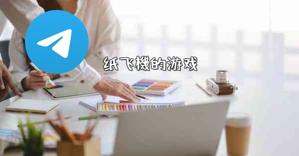 <b>纸飞機的游戏</b>