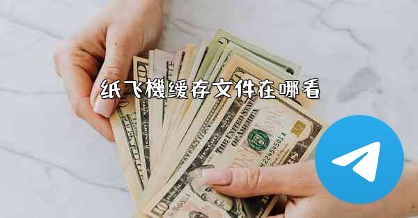 纸飞機缓存文件在哪看