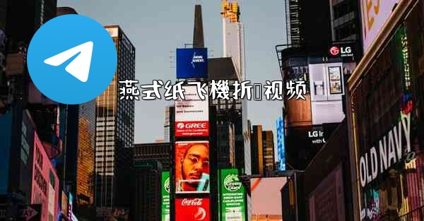 燕式纸飞機折叠视频