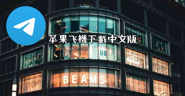 苹果飞機下載中文版