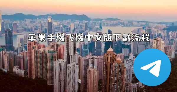 苹果手機飞機中文版下載流程