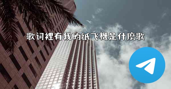 歌词裡有我的纸飞機是什麼歌