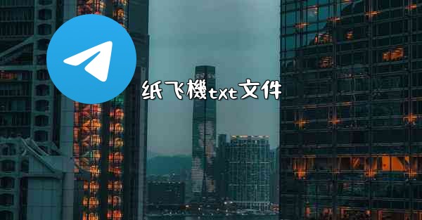 纸飞機txt文件