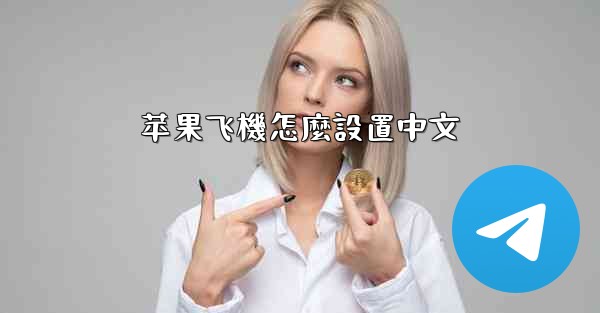 苹果飞機怎麼設置中文