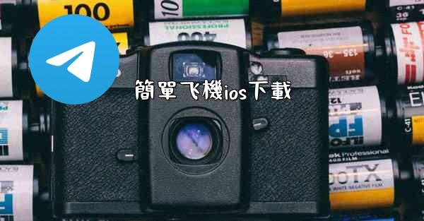 簡單飞機ios下載