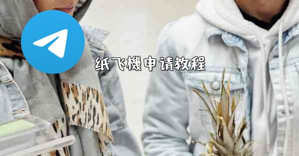 纸飞機申请教程