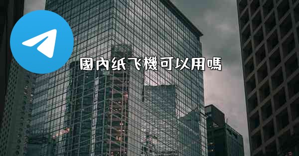 <b>國內纸飞機可以用嗎</b>