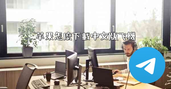 苹果怎麼下載中文版飞機