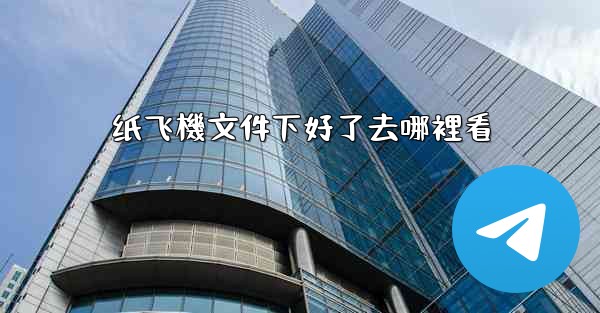 纸飞機文件下好了去哪裡看