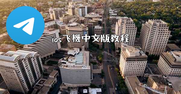 ios飞機中文版教程