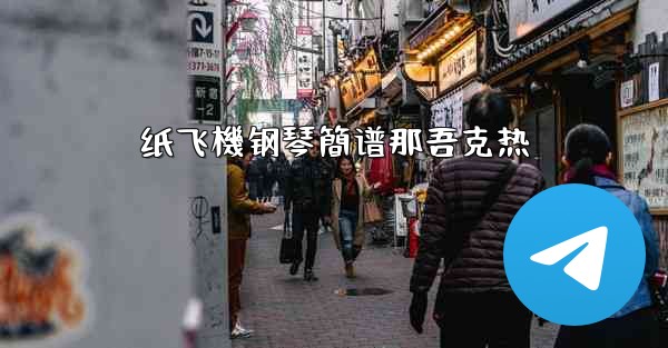 纸飞機钢琴簡谱那吾克热