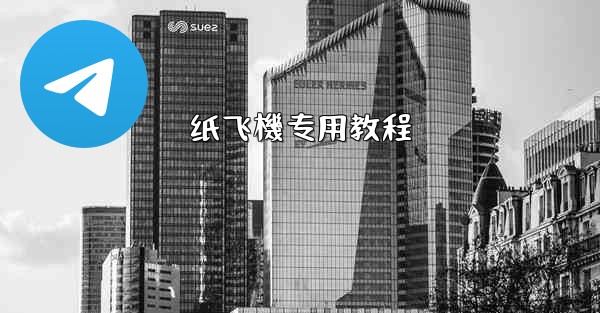 纸飞機专用教程