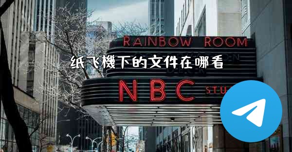 纸飞機下的文件在哪看