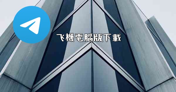 飞機電腦版下載