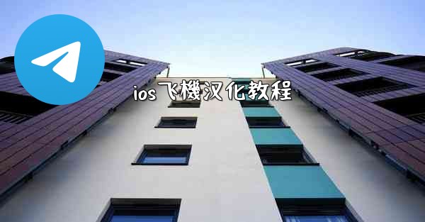 ios飞機汉化教程