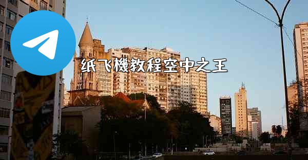 纸飞機教程空中之王