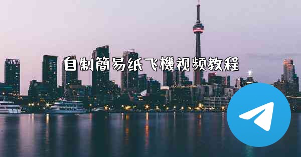 自制簡易纸飞機视频教程