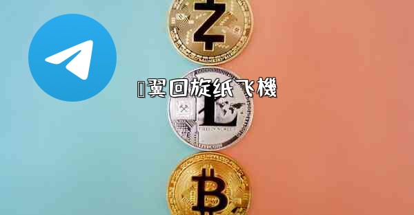 鸭翼回旋纸飞機