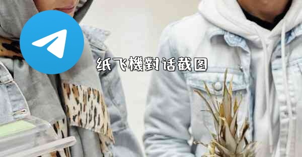 纸飞機對话截图