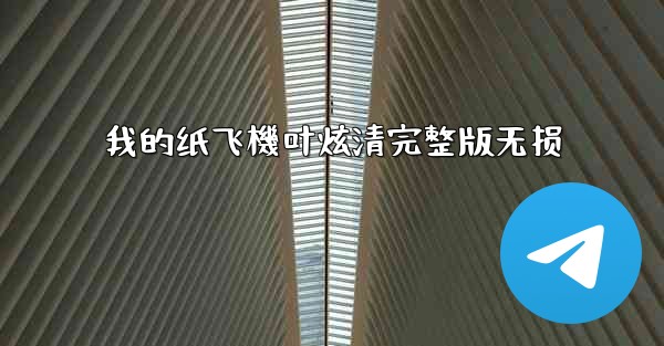 我的纸飞機叶炫清完整版无损