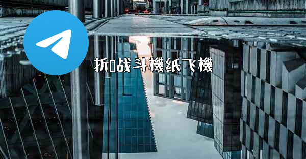 <b>折叠战斗機纸飞機</b>