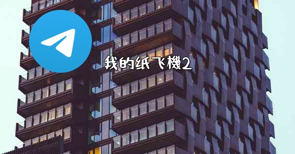 我的纸飞機2