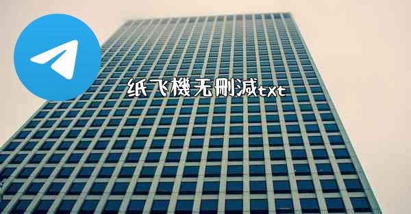 纸飞機无刪減txt