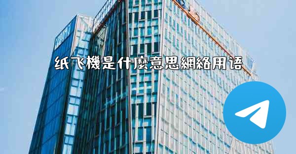 纸飞機是什麼意思網絡用语