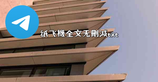 纸飞機全文无刪減txt