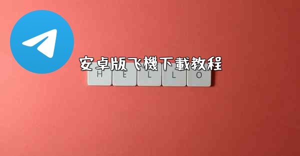 安卓版飞機下載教程