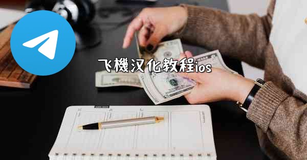 飞機汉化教程ios