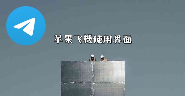 苹果飞機使用界面