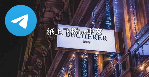 纸上飞機ios中文