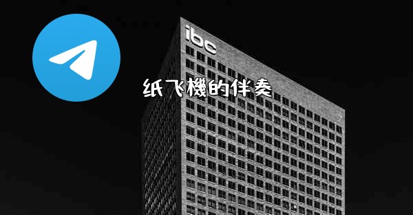 <b>纸飞機的伴奏</b>