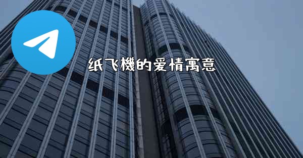 纸飞機的爱情寓意