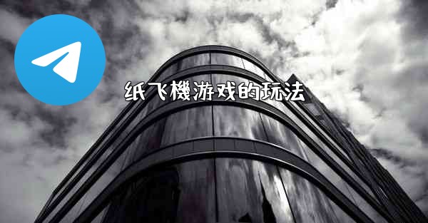 <b>纸飞機游戏的玩法</b>