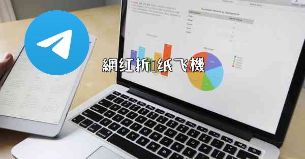 <b>網红折叠纸飞機</b>