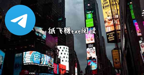 纸飞機txt阅读